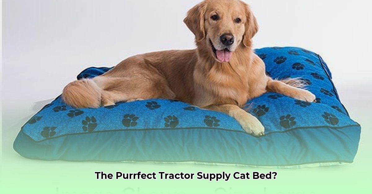 tractor-supply-cat-beds